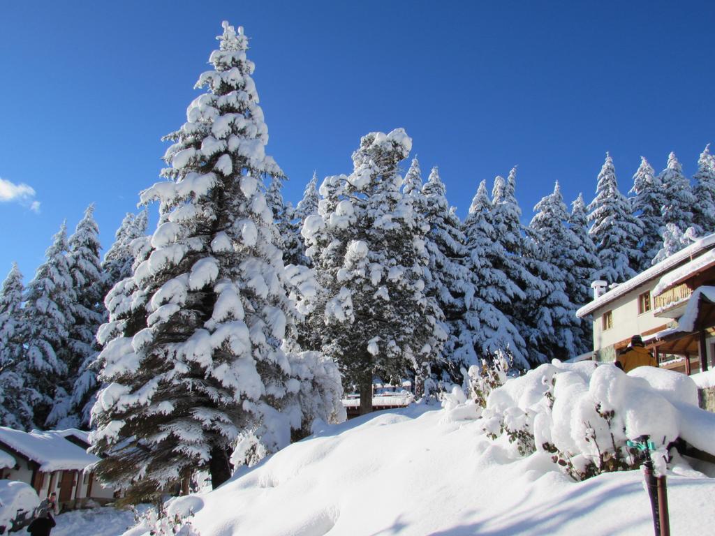 Ruca Piren San Carlos de Bariloche