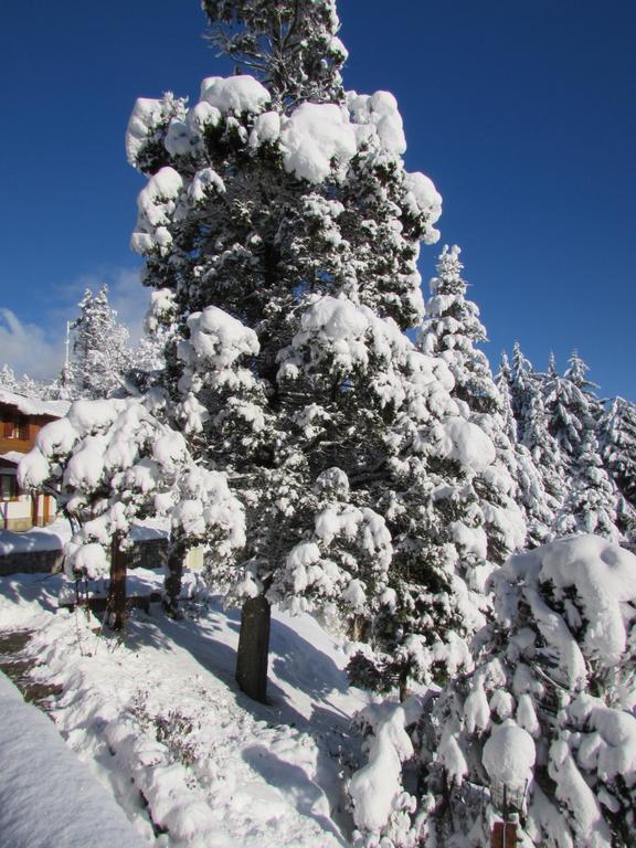 Ruca Piren * San Carlos de Bariloche
